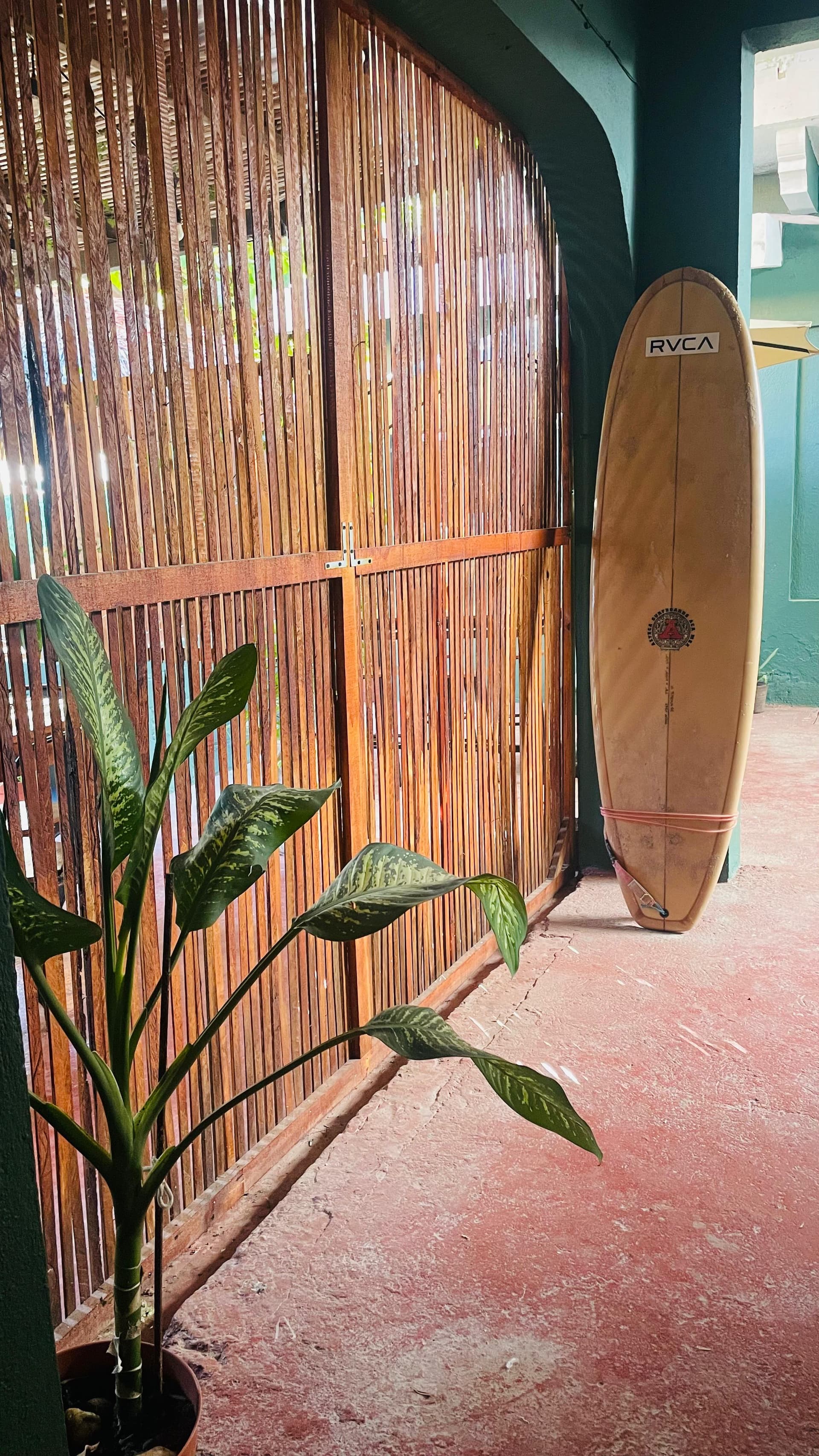 Olivo Hostel imagen 9